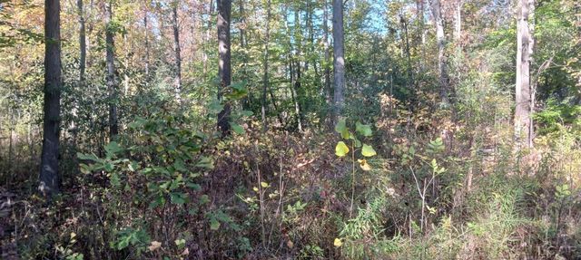 Pine Creek Dr., Burton, MI 48519