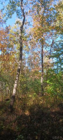 Pine Creek Dr., Burton, MI 48519