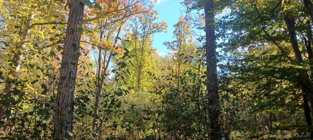 Pine Creek Dr., Burton, MI 48519