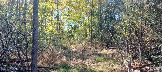 Pine Creek Dr., Burton, MI 48519