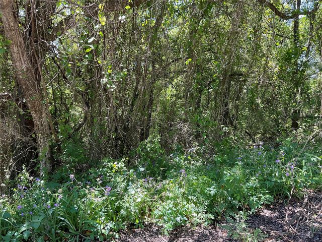 4204 Kings CT, Austin, TX 78725