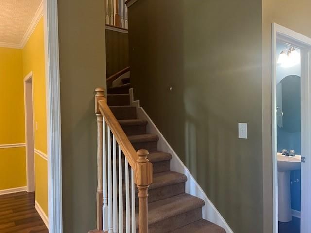 107 Meadows Drive, Senoia, GA 30276