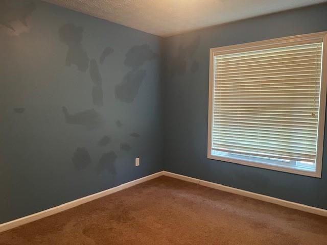 107 Meadows Drive, Senoia, GA 30276