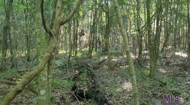 26799-26355 Greenwell Springs Rd, Greenwell Springs, LA 70739