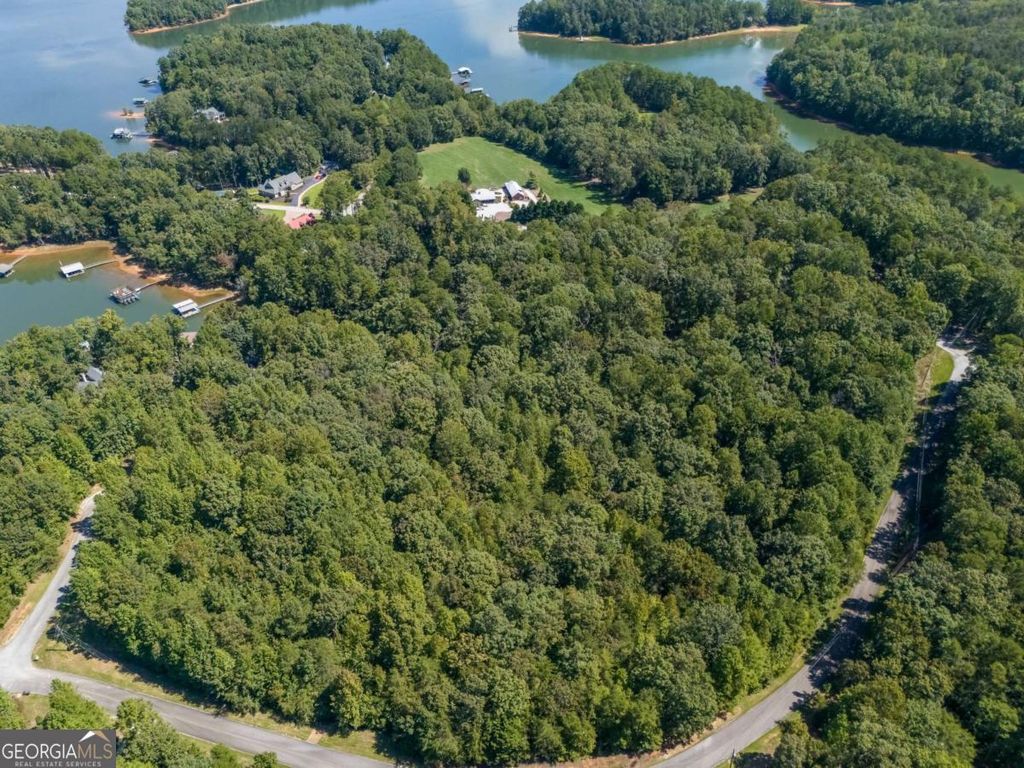 LOTS 1 & 2 Twin Knolls Trail, Martin, GA 30557 — photo 3