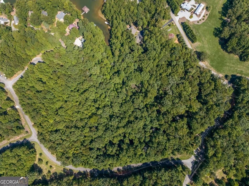 LOTS 1 & 2 Twin Knolls Trail, Martin, GA 30557 — photo 5