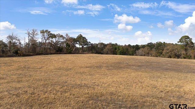 7294 S CR 314, Henderson, TX 75654