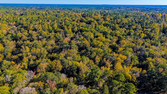 TBD2 Rolling Ridge Road, Goodrich, TX 77335