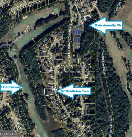 57 Middleton Trace, Newnan, GA 30265