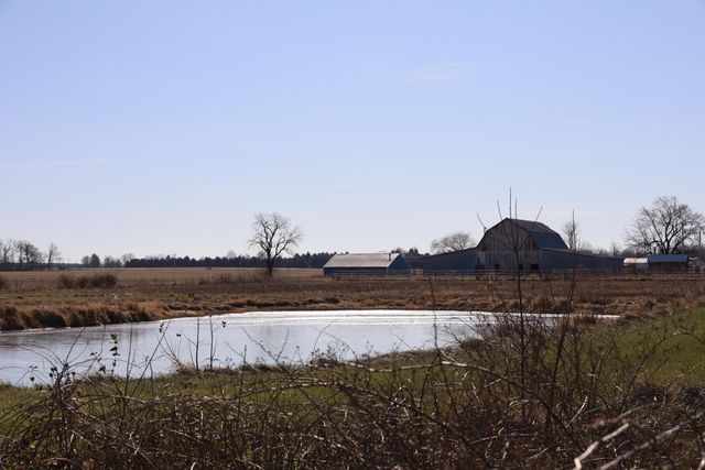 1152 Skyline Road, Seymour, MO 65746