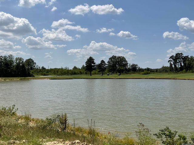 26343 Somerset Hills Ct, Denham Springs, LA 70726