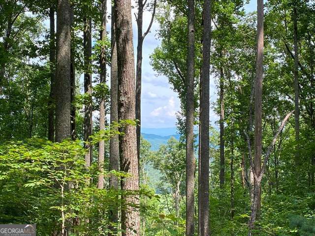 LOT 1 High Country Lane, Morganton, GA 30560