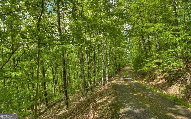 LOT 1 High Country Lane, Morganton, GA 30560