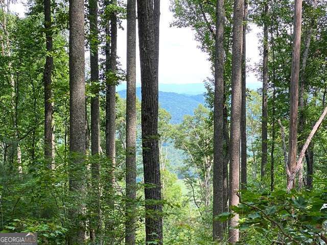 LOT 1 High Country Lane, Morganton, GA 30560