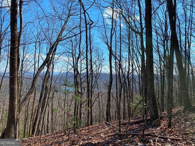LOT 1 High Country Lane, Morganton, GA 30560