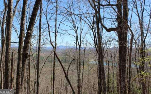 LOT 1 High Country Lane, Morganton, GA 30560