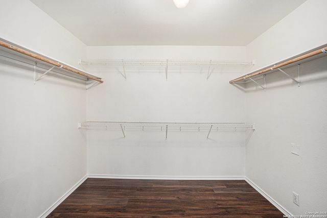 9106 Valhalla, Selma, TX 78154