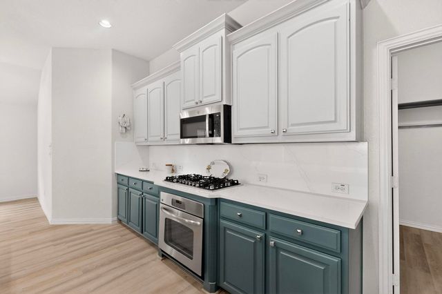 2405 Hammock Lake Drive, Little Elm, TX 75068