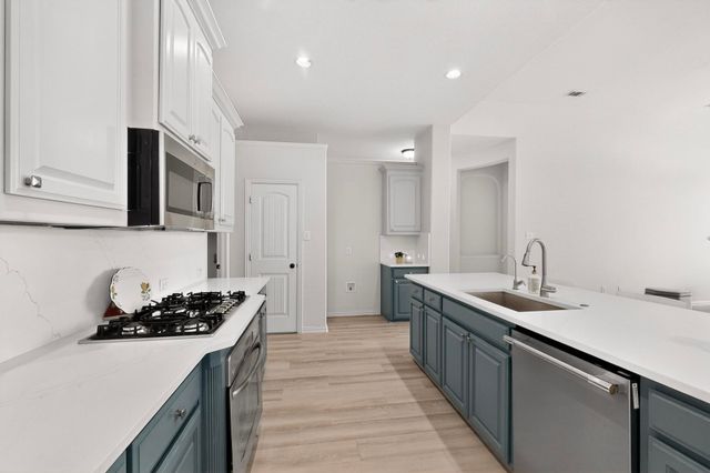 2405 Hammock Lake Drive, Little Elm, TX 75068