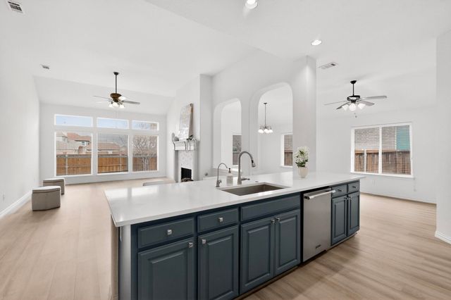 2405 Hammock Lake Drive, Little Elm, TX 75068