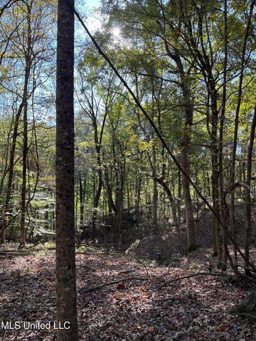 Perry Creek Road, Satartia, MS 39162
