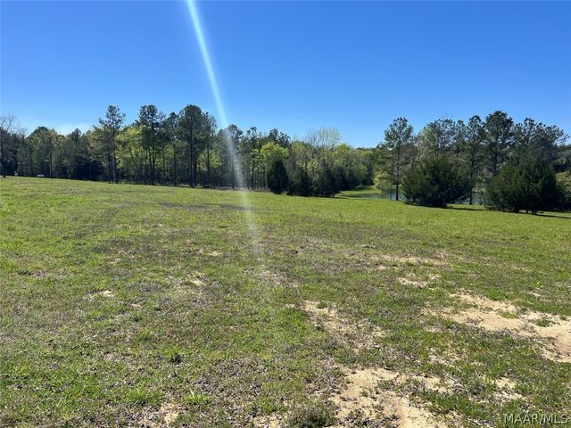 Lot 1 Leahmon Lane, Mathews, AL 36052