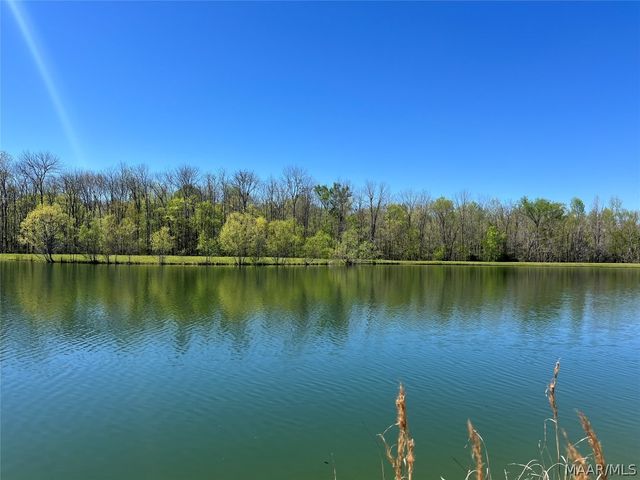 Lot 1 Leahmon Lane, Mathews, AL 36052