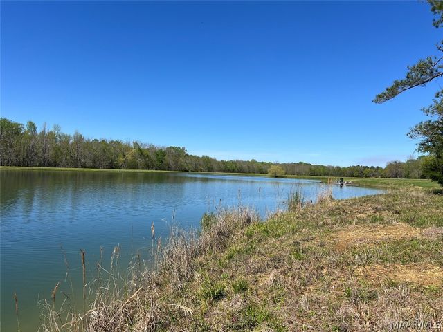 Lot 1 Leahmon Lane, Mathews, AL 36052