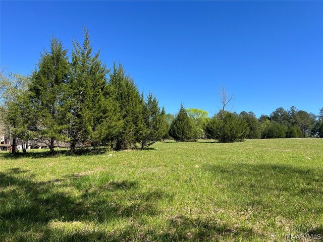 Lot 1 Leahmon Lane, Mathews, AL 36052