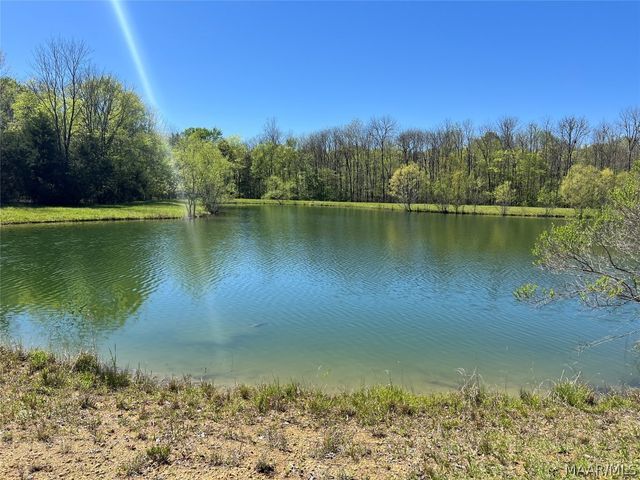 Lot 1 Leahmon Lane, Mathews, AL 36052