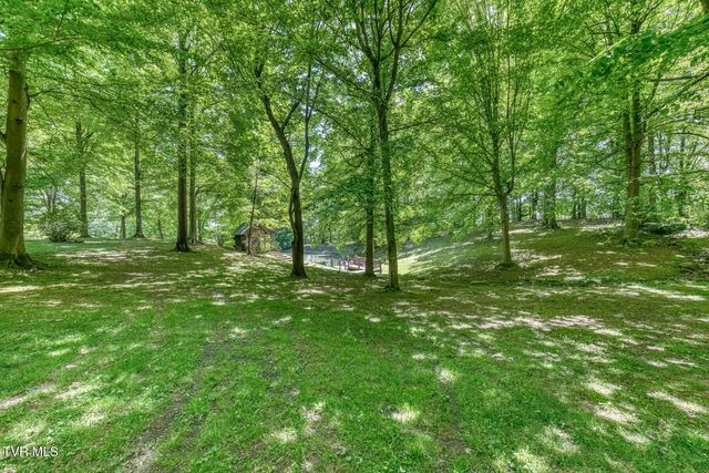 156 Vines Drive, Jonesborough, TN 37659