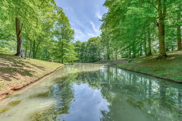 156 Vines Drive, Jonesborough, TN 37659