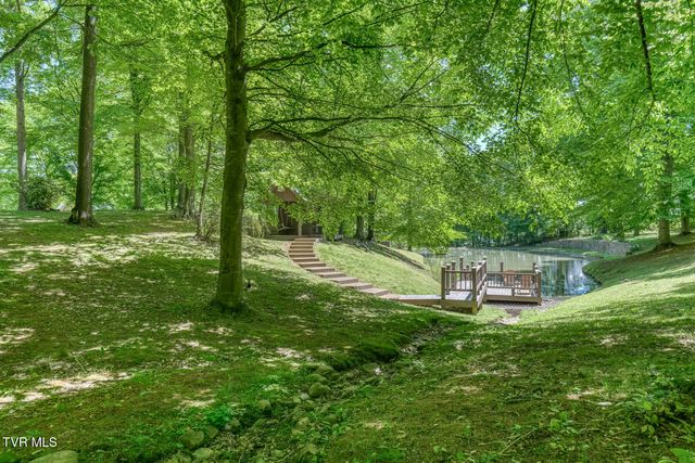 156 Vines Drive, Jonesborough, TN 37659
