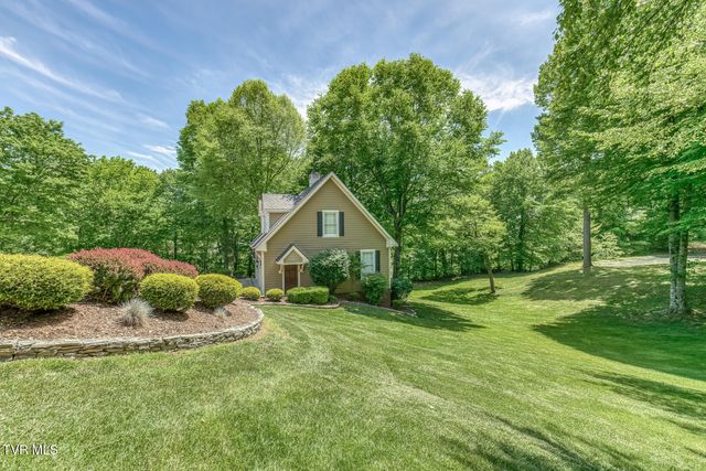 156 Vines Drive, Jonesborough, TN 37659