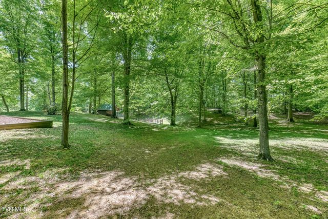 156 Vines Drive, Jonesborough, TN 37659