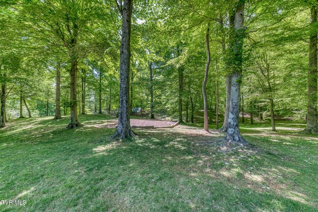 156 Vines Drive, Jonesborough, TN 37659