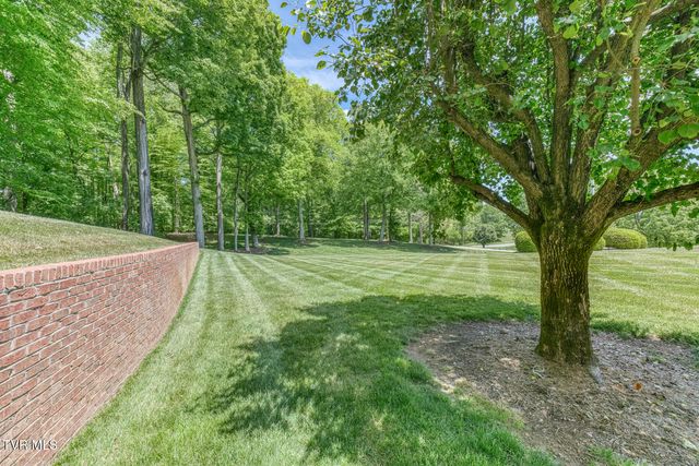156 Vines Drive, Jonesborough, TN 37659
