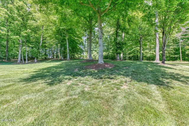 156 Vines Drive, Jonesborough, TN 37659