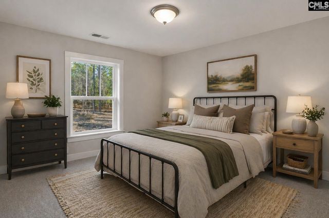 111 Greengarden Drive, Chapin, SC 29036
