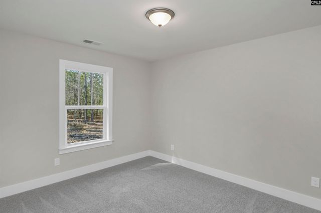 111 Greengarden Drive, Chapin, SC 29036
