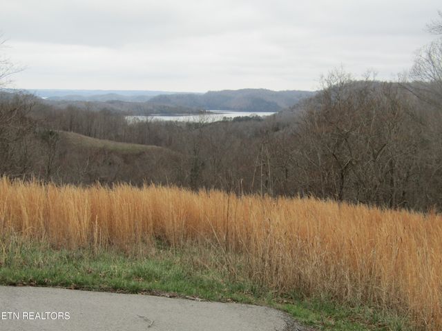 Lot 58A1 Goose Rd, Hilham, TN 38568
