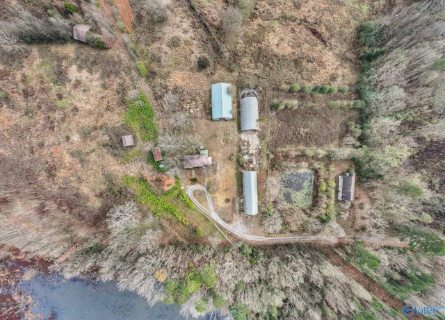 275 Beard Road, Hartselle, AL 35640