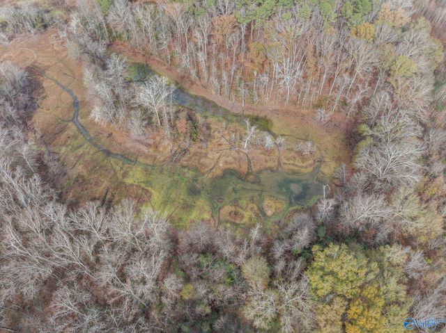 275 Beard Road, Hartselle, AL 35640