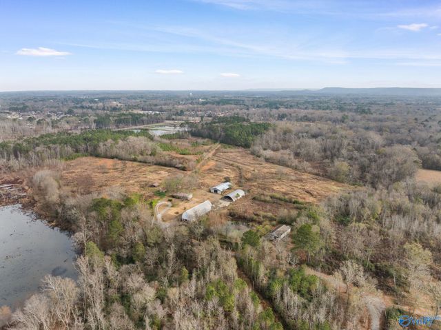 275 Beard Road, Hartselle, AL 35640