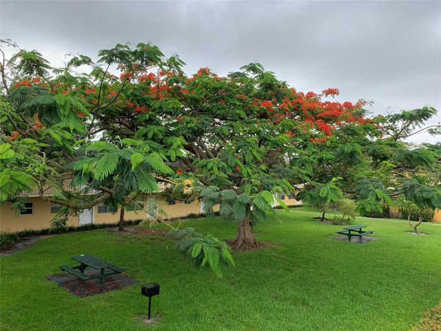 5168 NE 6th Avenue 429, Fort Lauderdale, FL 33334