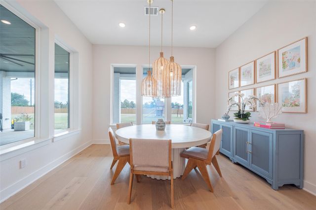 29503 Fulshear Lake Trace, Fulshear, TX 77406