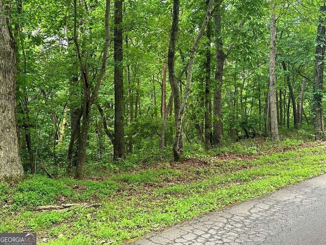 LOT 40 Timberwalk Drive 40, Ellijay, GA 30540