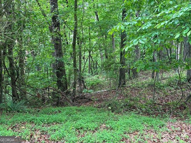 LOT 40 Timberwalk Drive 40, Ellijay, GA 30540
