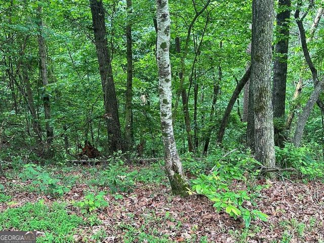 LOT 40 Timberwalk Drive 40, Ellijay, GA 30540