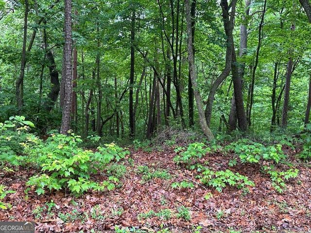 LOT 40 Timberwalk Drive 40, Ellijay, GA 30540